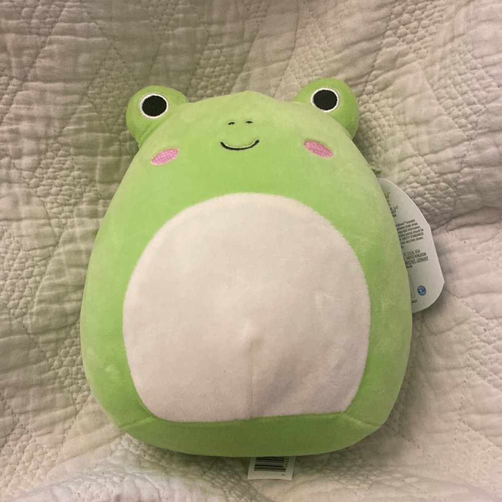 Wendy the Frog Squishmallow